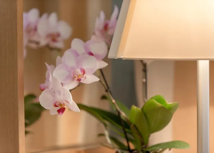 فندق La Pura Womens Health غراس أم كامب